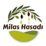 Milas Hasadı