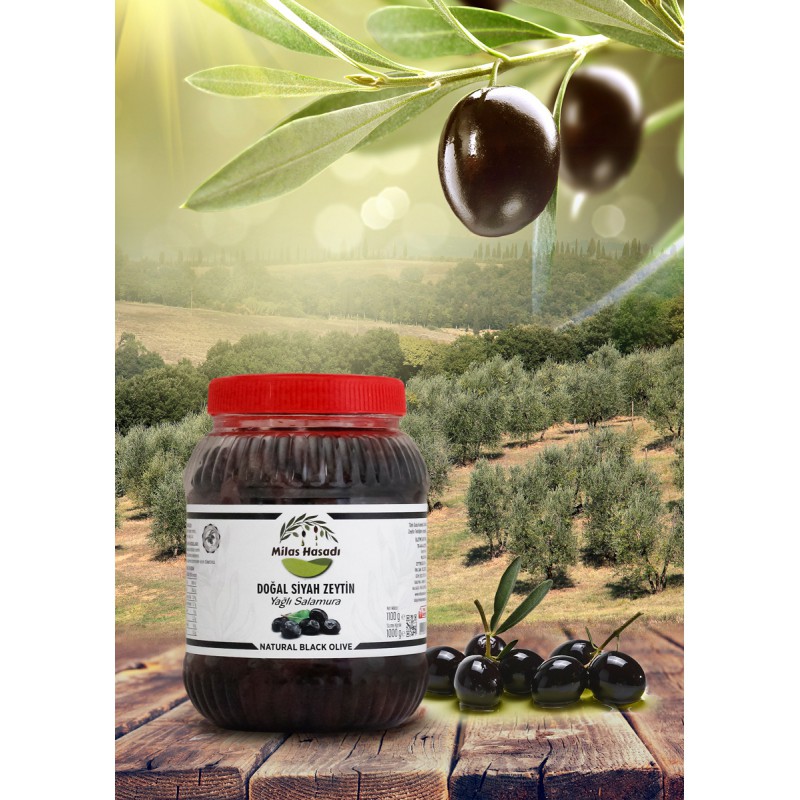 Siyah Yağlı Sele Zeytin 1 Kg