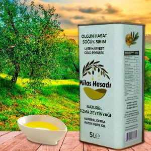 Natürel Sızma Soğuk Sıkım Zeytinyağı 5 Lt